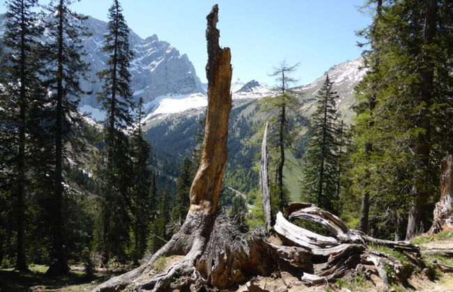 No. 2 - Country House Geierstanger - Foto 22