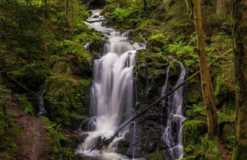 Ferienwohnung Kraftquelle im Wohnpark SchwarzwaldBlick, Bernau - Foto 15