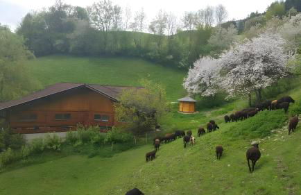 Lechnerhof - Clara´s Mountain Lodge - Photo 8