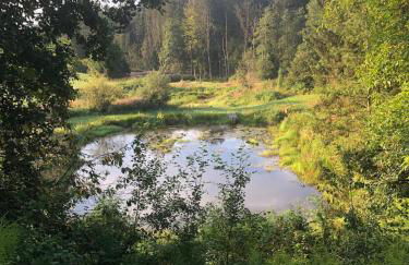 Apartment mit Blick ins Grüne - Foto 31
