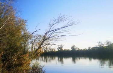 Casa el Tratado, situada en el casco histórico con patio privado - Photo 26