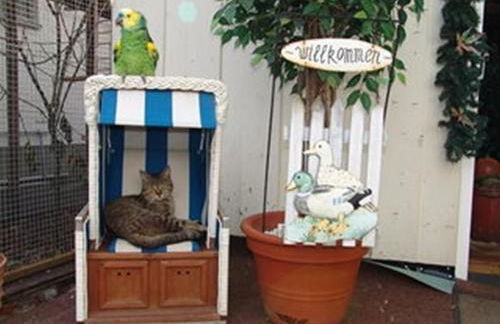 Apartment Spree Idyll by Interhome - Foto 16