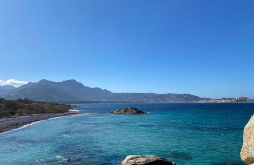 L'Immortelle - T3 avec balcon vue mer & montagne - Photo 22