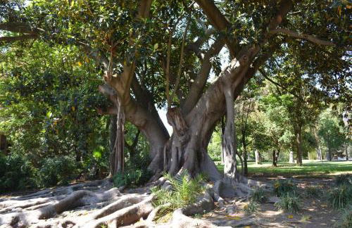 Atelier - House in Belém - Photo 24