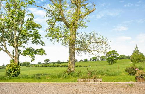 Whitehill Lodge - Uk47194 - Foto 19