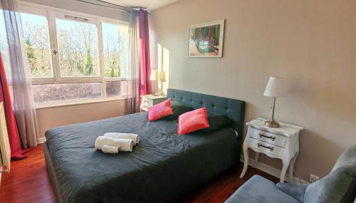 T3 COSY petit balcon 5mins France miniature - Foto 3