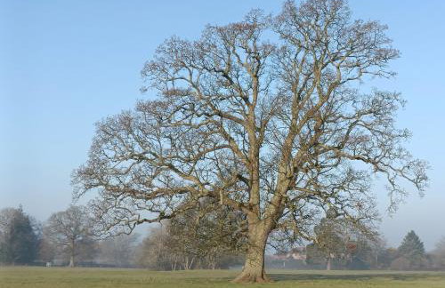 Keepers Retreat - Foto 52