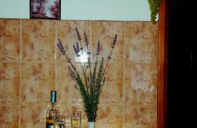 Apartments Elena - Foto 39