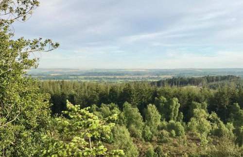 Bramble Bank - Foto 31