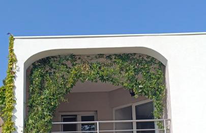 Holiday Home Drescher - Photo 3