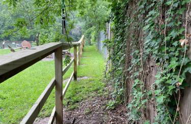 Pet friendly Tiny House Rental with new Access to Guadalupe River NBTX - Photo 30