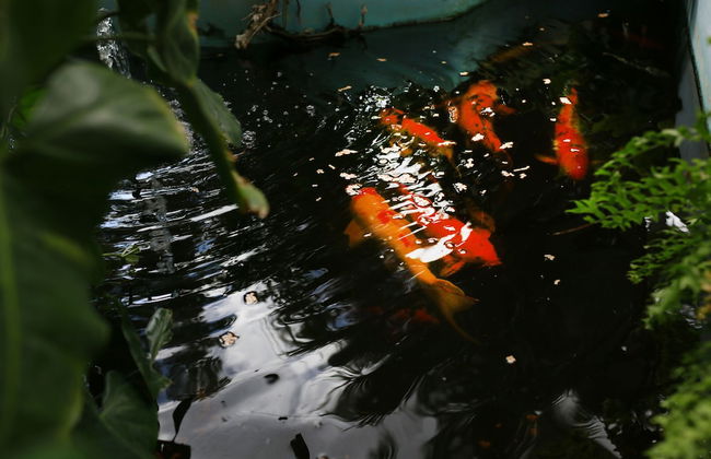 Hersher Studios & Apartments - Foto 38