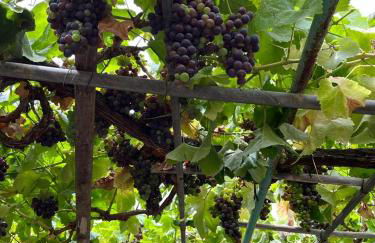 Casa Rural Quilla - Foto 16