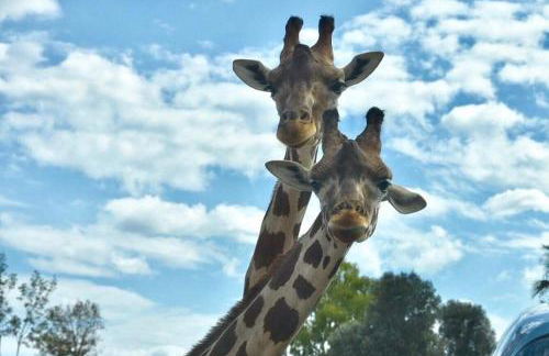Appartamento con balcone panoramico "Suite Belvedere" - Foto 22