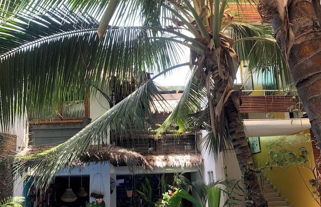 Résidence Ecologe - Photo 39