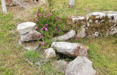 Casa do Carqueijo - Foto 7