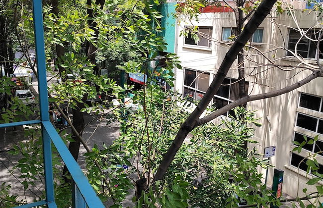 OXFORD by Mr. W - Foto 31