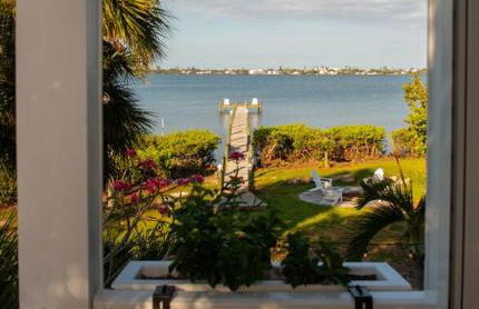 The Starfish - Foto 6