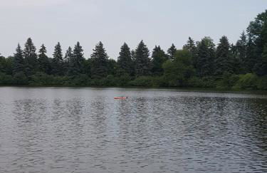 Waldbadhäusel Naturbad-Bungalow - Photo 13