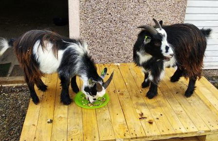 Cottage with Panoramic Views - Photo 19