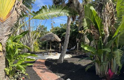 The Palm Frond - Upgraded Studio at PalmView of Sanibel with Bikes - Foto 16
