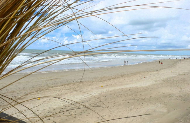 Apartment in a Quiet, Rural Area, not far From the Centre - Photo 22