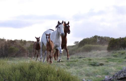 Apartamento Almanzor - Photo 30