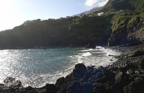 Lazy Lizard by the Ocean - Foto 32