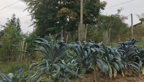 Casa Bicocchi - Foto 2