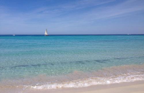 Appartement Piovanacce - T3 avec pisicne privée 10min de Saint-Florent - Foto 24