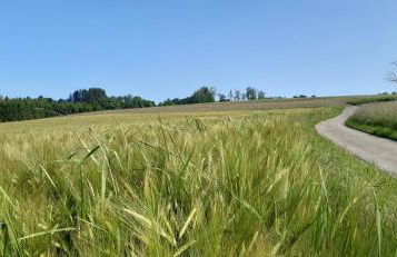 Ferienwohnung Oberhof - Foto 21