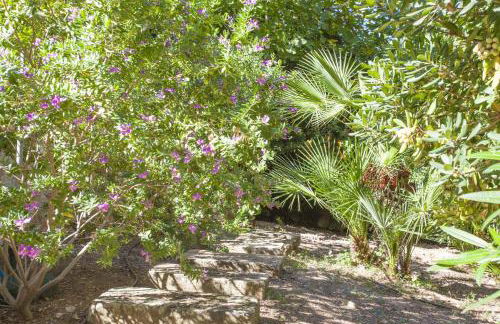 Villa Cala Padri - Photo 33