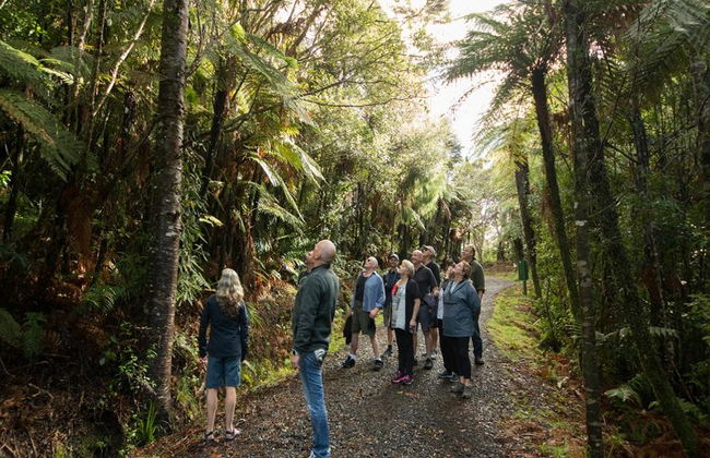 Vida salvaje en Auckland - Foto 4
