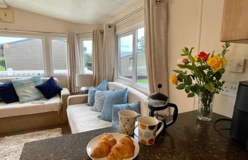 Seascape at Landscove Holiday Park, Brixham - Foto 8