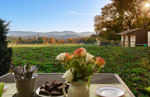 Stunning Cabin with incredible views near Goodwood - Foto 22