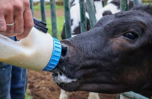 Casa da Avó Couta - Photo 19