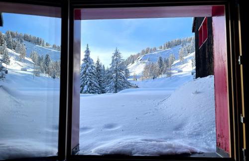 Casa Mammolo Falcade - Foto 17