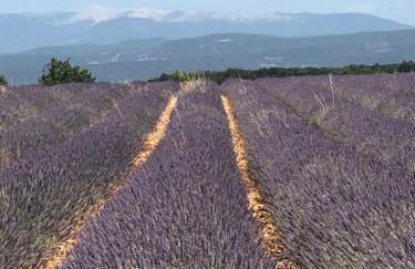 Location Bonnieux Provence - Foto 28