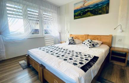 Apartamenty w Maniowach - Foto 8