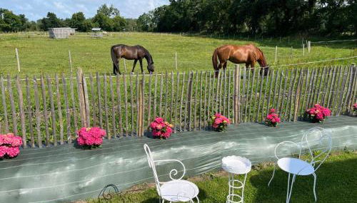 Villa entre Terre et Mer - Foto 2