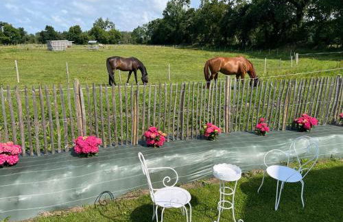 Villa entre Terre et Mer - Foto 2