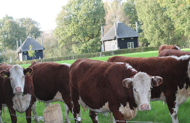 Nice House near River - Photo 9