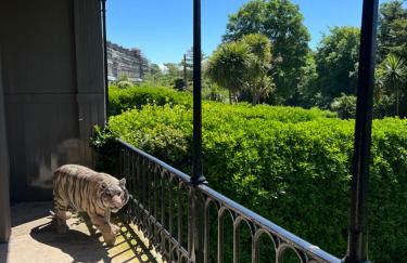 Luxury garden apartment under the Castle, Dover - Foto 2