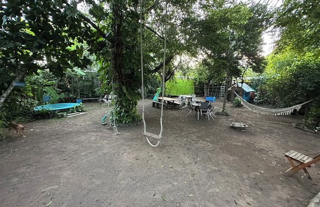 Quintal do Contêiner - Photo 39