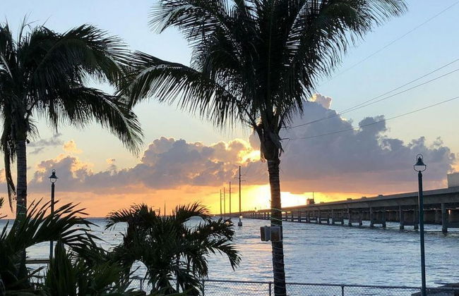 3 Beautiful 4 Bed 3 Bath Pool Home w Free Dock - Foto 35