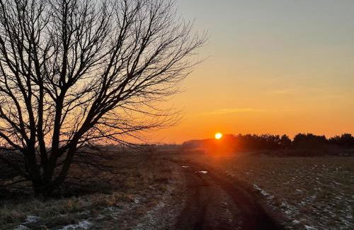 FEWO RENKEN - Foto 26