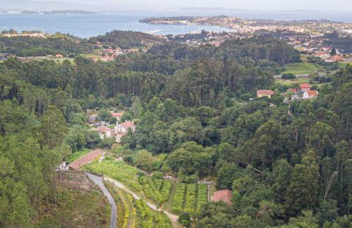 Entre Os Ríos - Casa Rural y Enoturismo - Foto 42