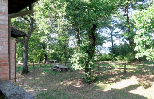 Apartment Vacanza L'Olivo by Interhome - Foto 42