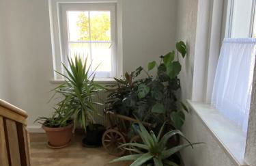 Ferienwohnung-Hainberg - Foto 39