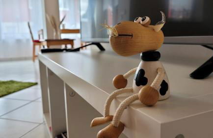 Wohlfühl-Ferienwohnung mit Tiefgarage im Grünen - Photo 12